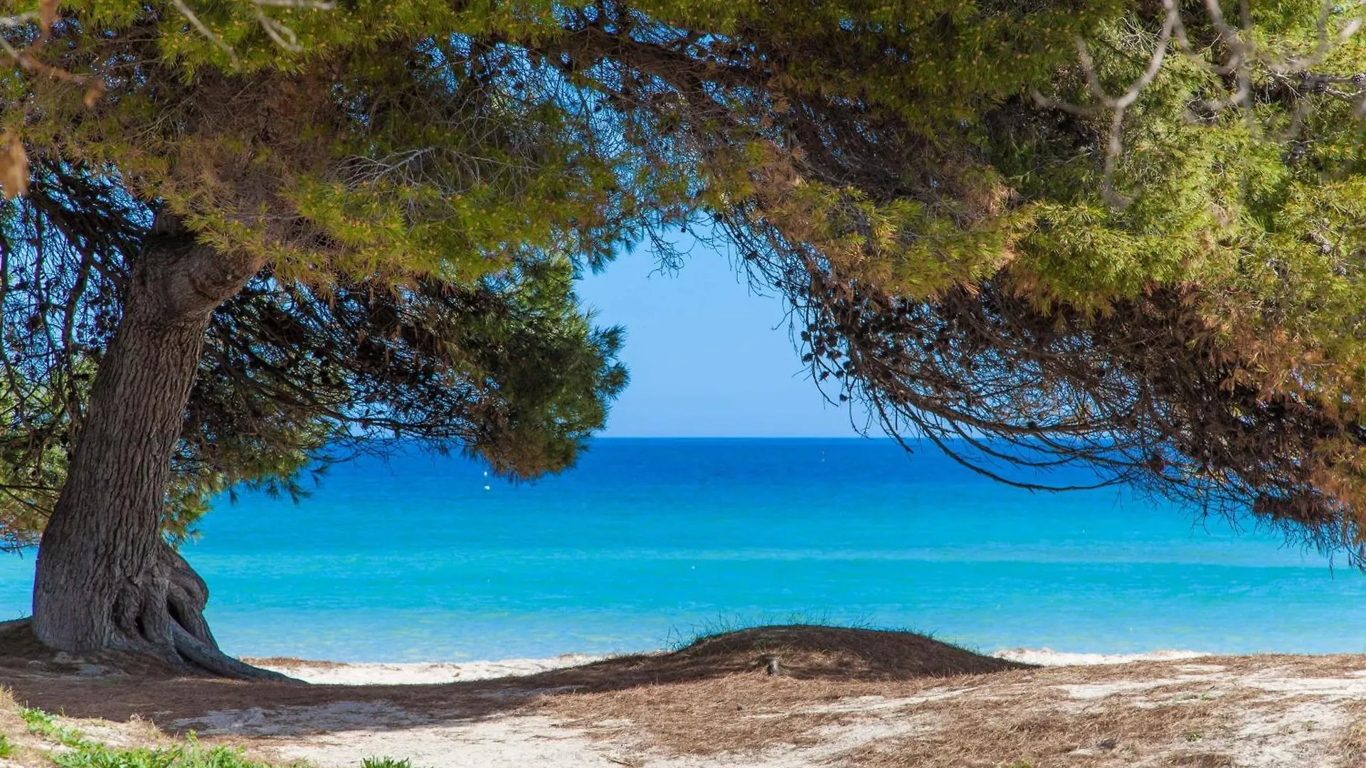Appartamento Sol Port de Alcudia  0*, Port de Alcudia (Mallorca) Spagna